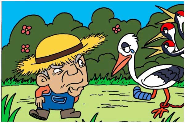 The Farmer and The Stork Story