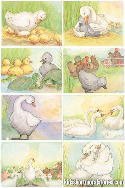 The Ugly Duckling Story