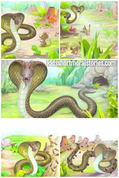 The King Cobra And The Ants Moral Story