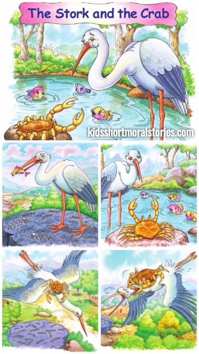 The Stork and The Crab Story with Moral | Short Stories from Panchatantra
