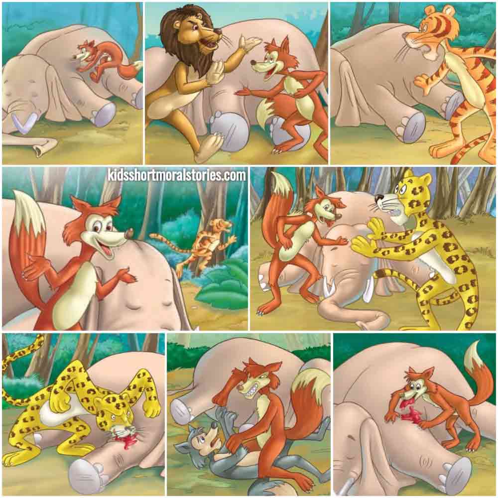 The Jackal's Quick Thinking Story - Panchatantra Stories For Kids