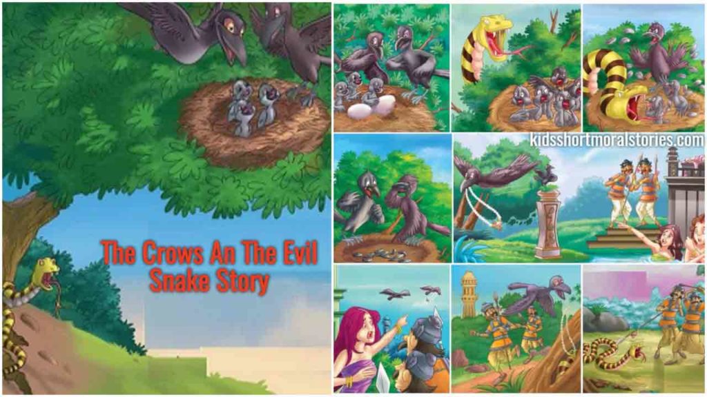 The Crows and the Evil Snake - A Panchatantra Story With Moral and Pictures