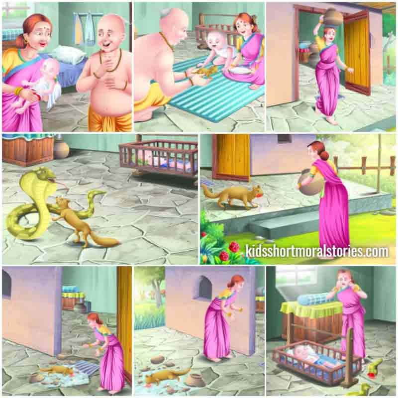 Panchatantra Stories For Kids - Mongoose and the Brahmini Story